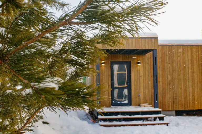 12 Сосен фото 2