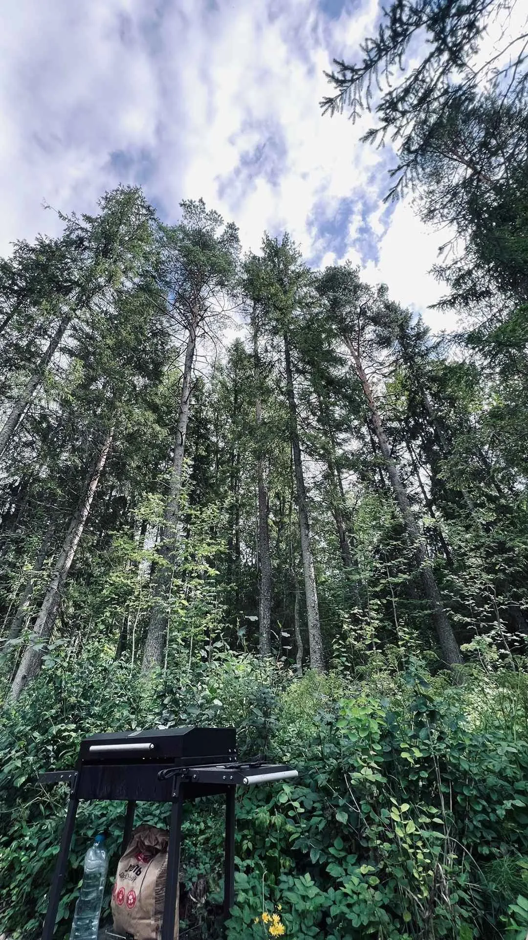 29element фото 5