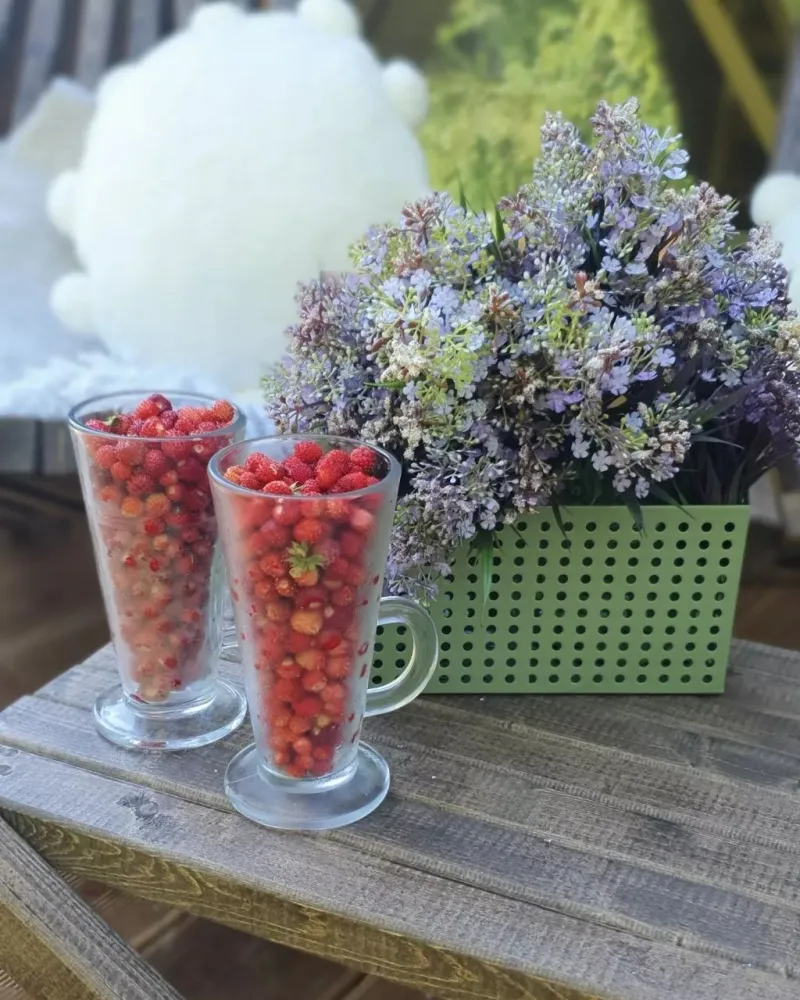 А-фрейм Березки фото 3