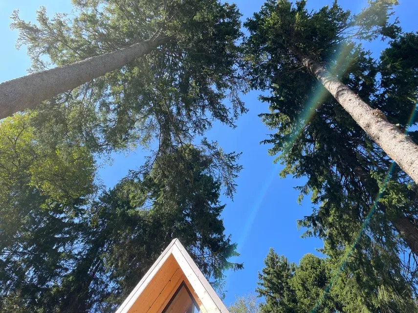 А-фрейм с баней в лесу фото 3