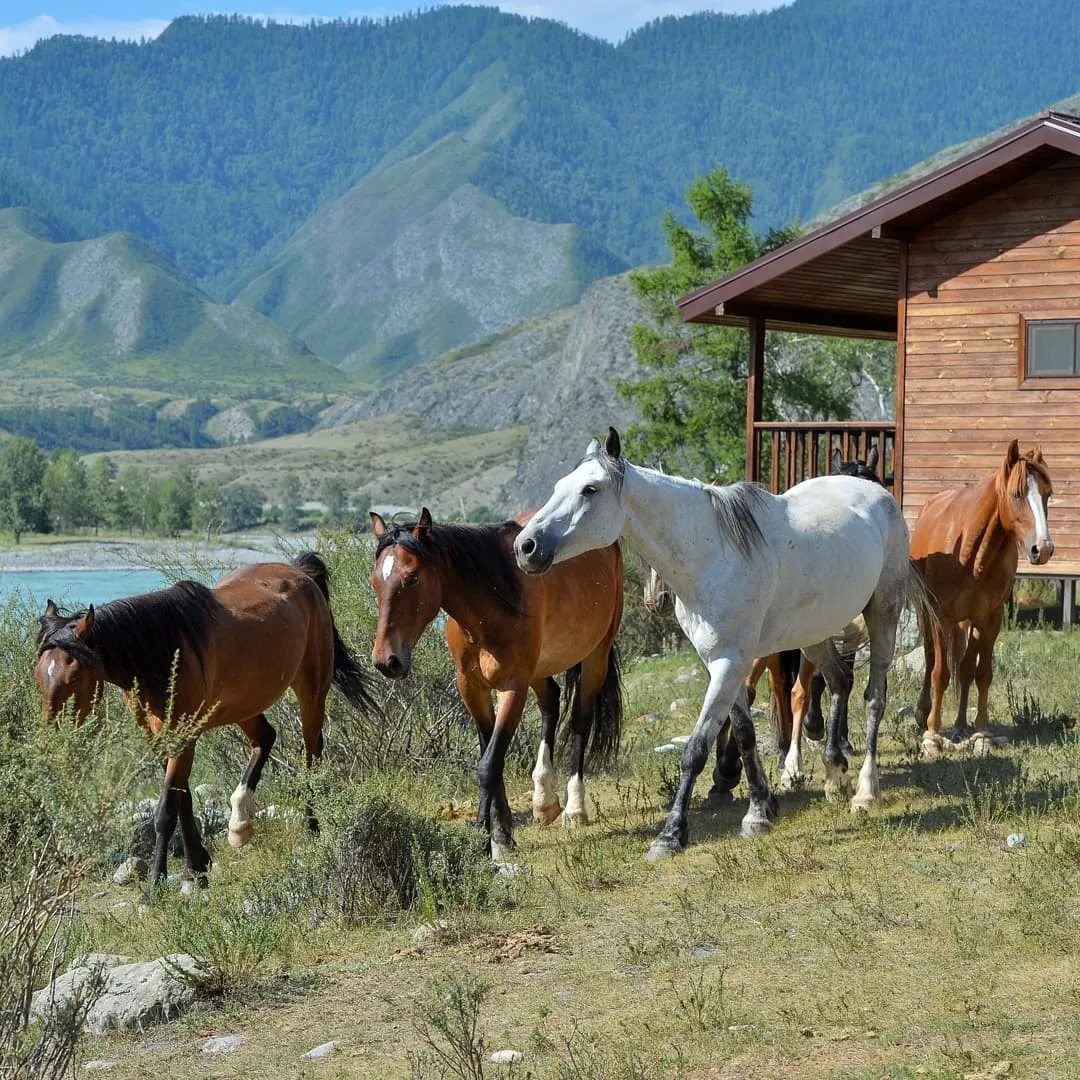 Агротуристический комплекс Инегень