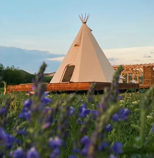 Альфа Глэмпинг фото 2