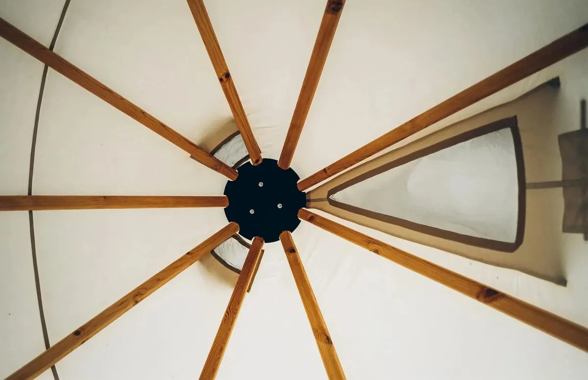 Альфа фото 2