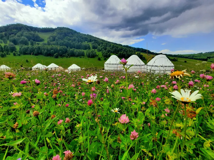 Алтайское Кочевье фото 2