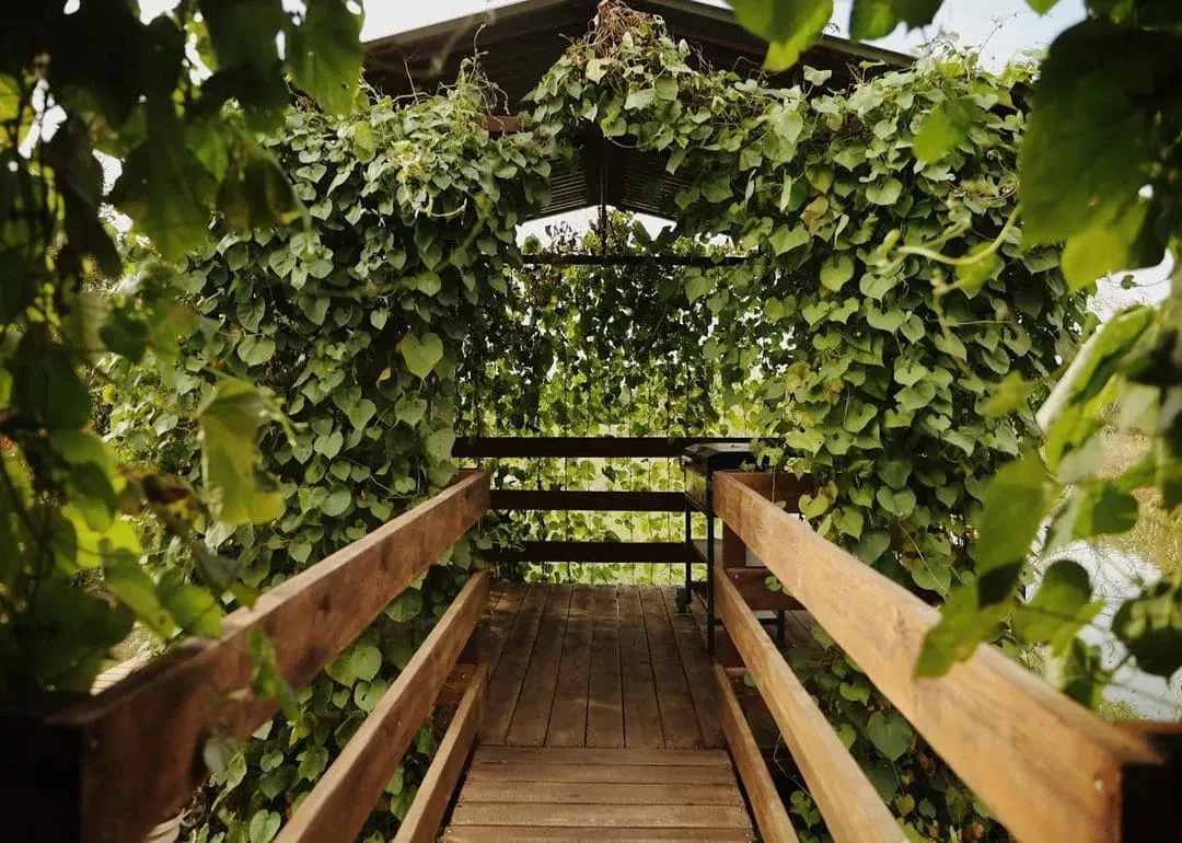 APPARADISE Glamping & Spa фото 2