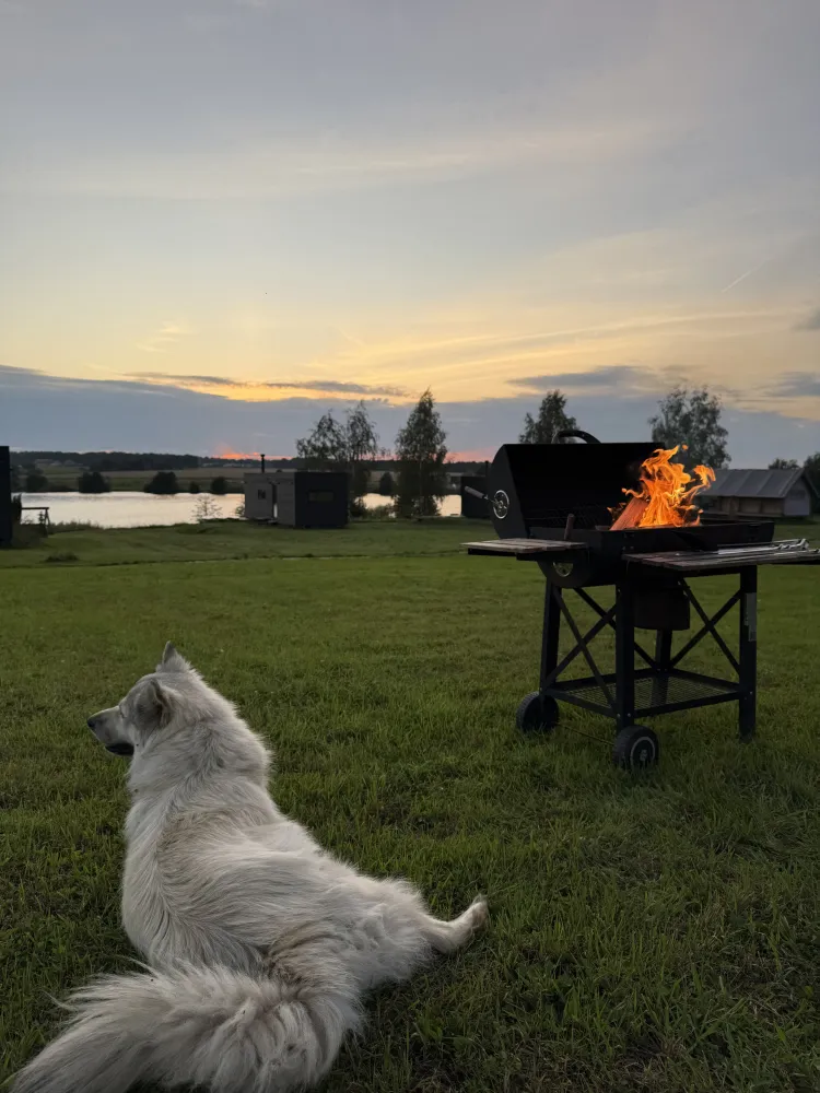 Архангельские дачи (Дом Полярная звезда) фото 5