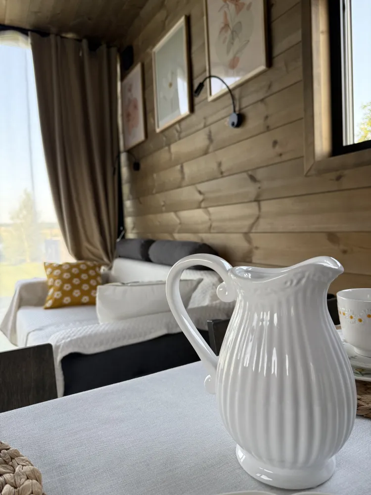 Архангельские дачи (Дом Тихий берег) фото 4