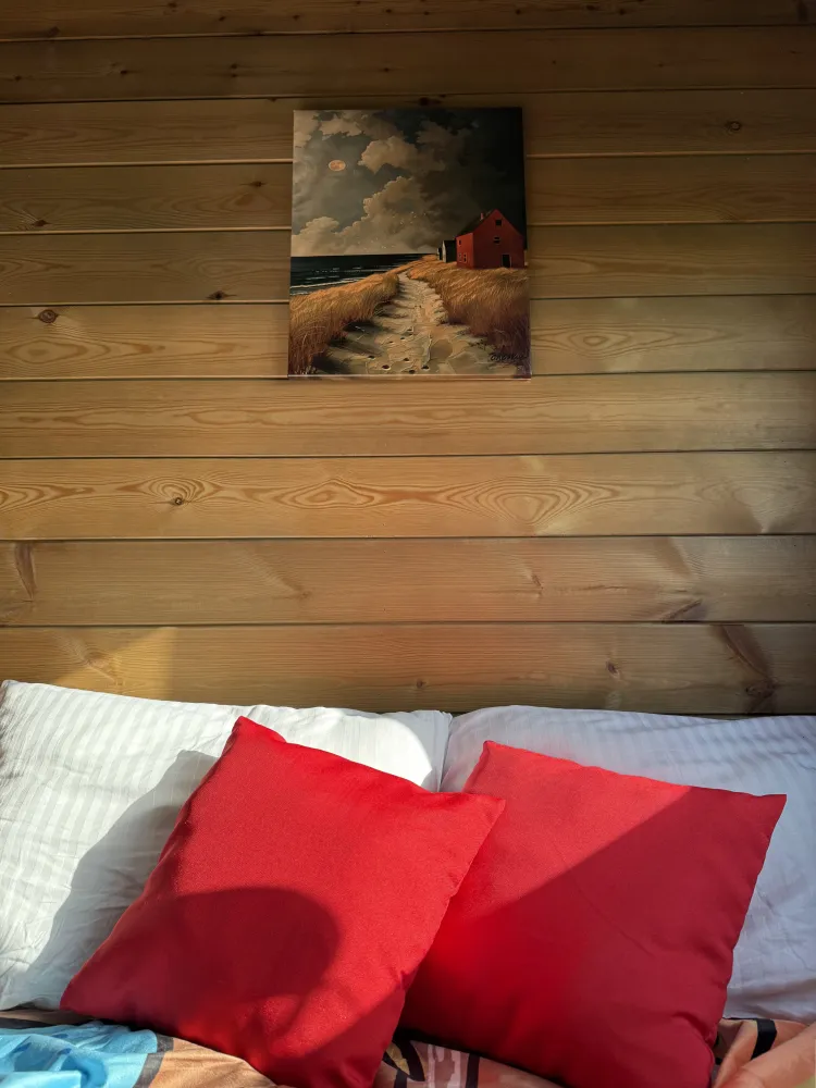 Архангельские дачи (Дом Вольный ветер) фото 2