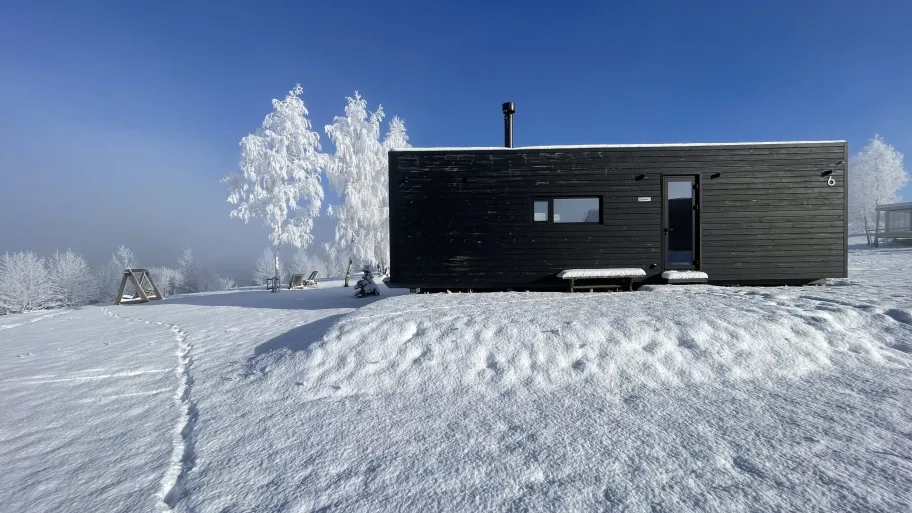 Архангельские дачи (Дом Вольный ветер) фото 3