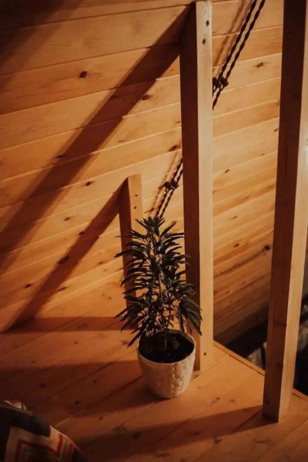 Аул мастеров фото 5