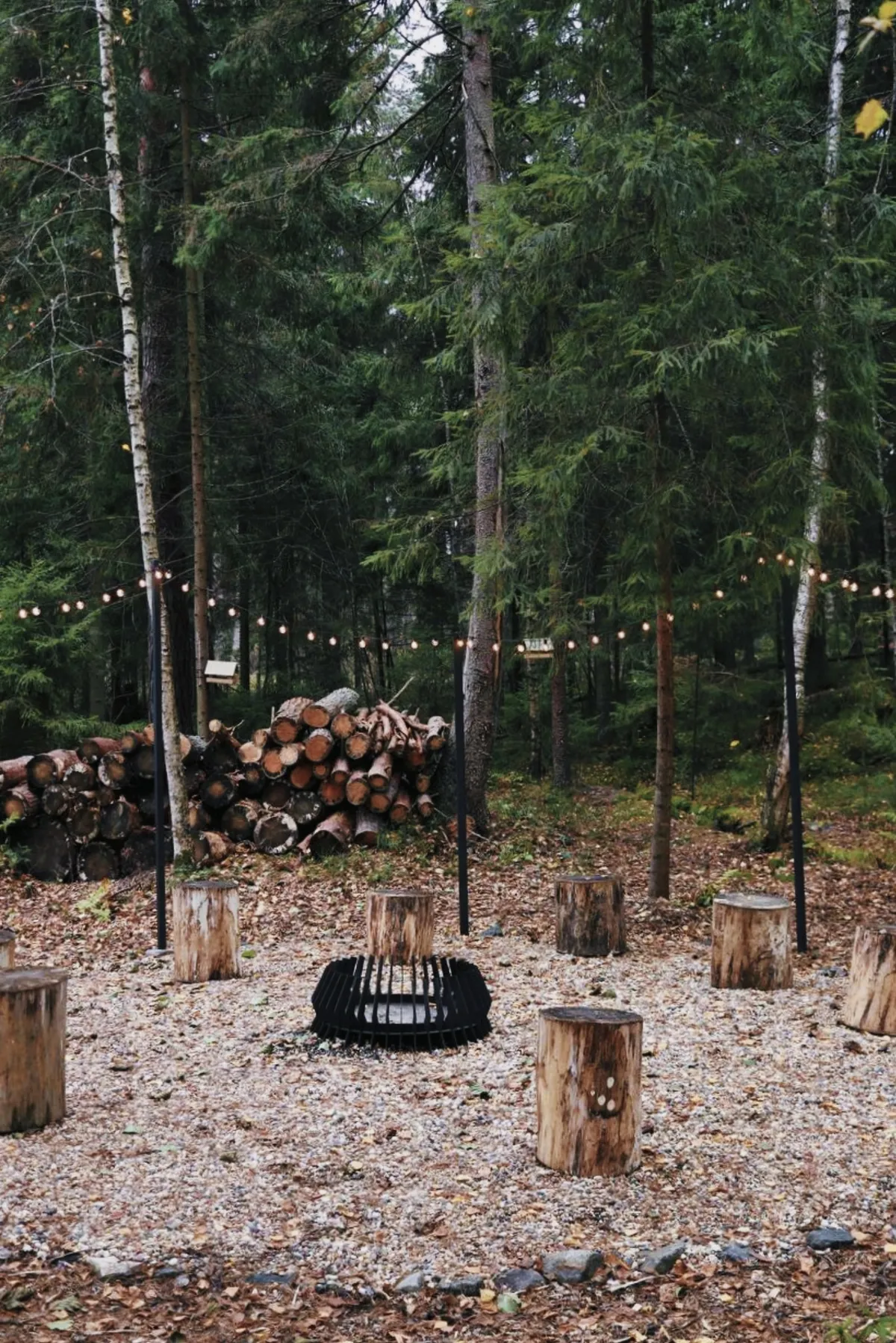 Aura.glamp фото 4