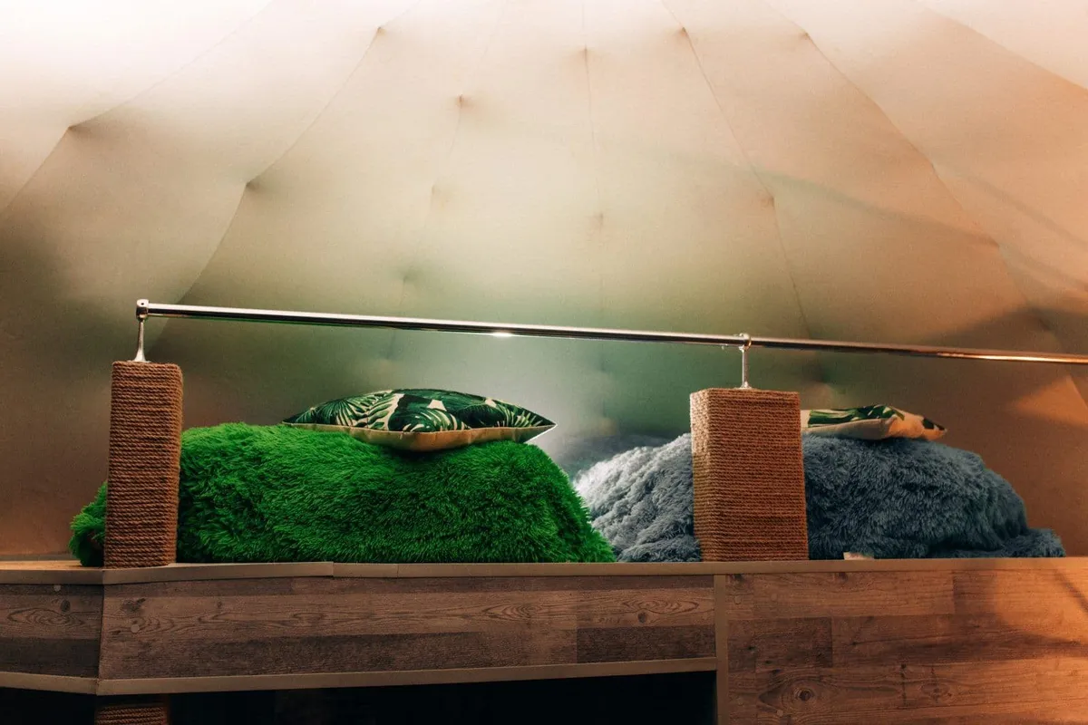 Aurora village фото 3