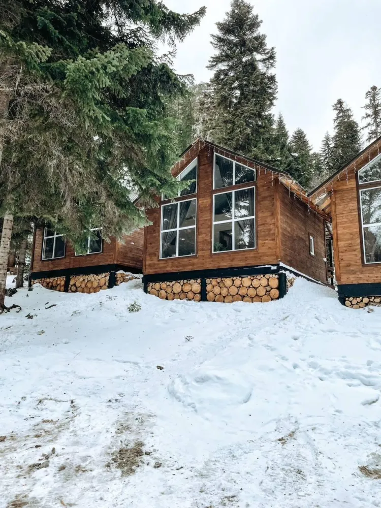 Авалон фото 2