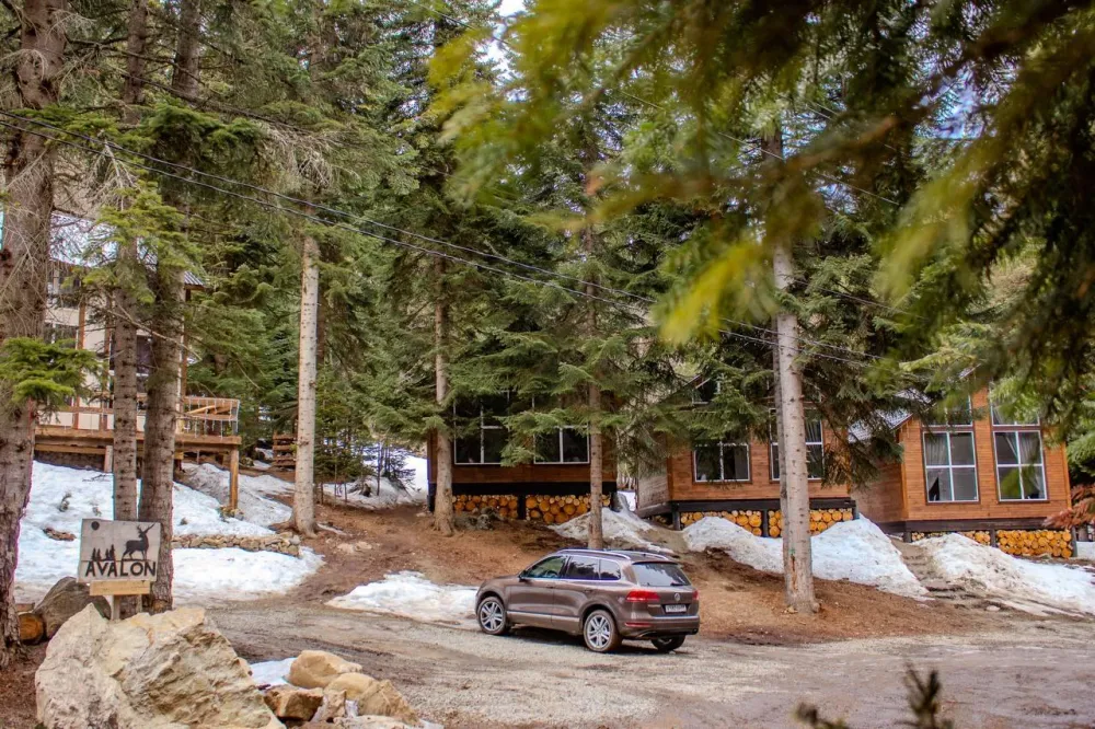 Авалон фото 3