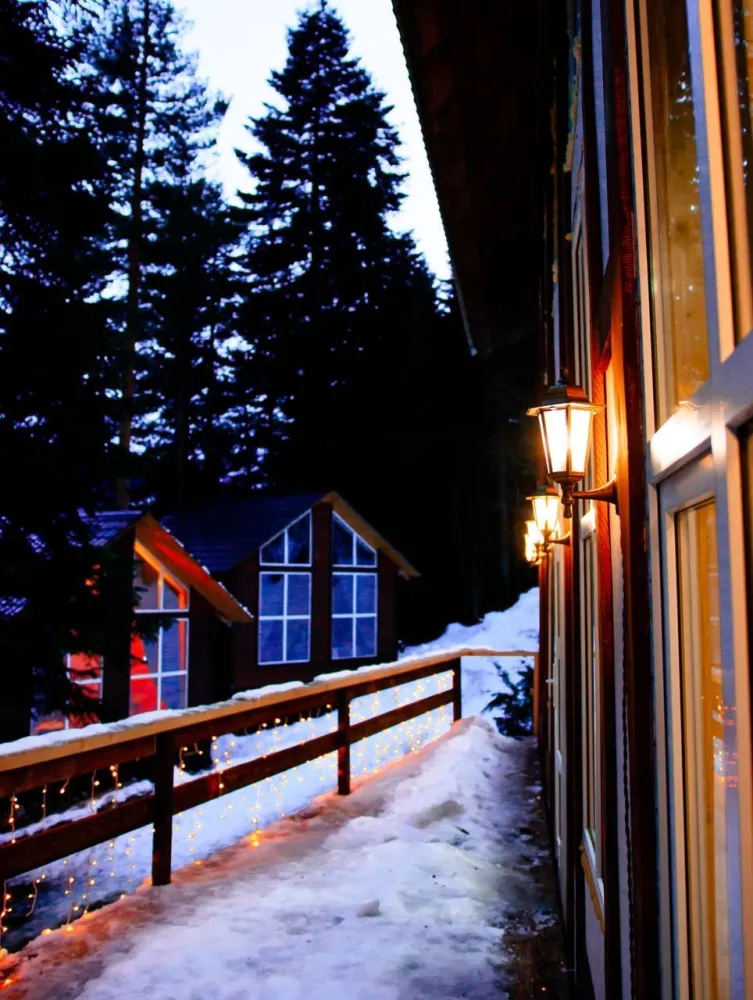 Авалон фото 4