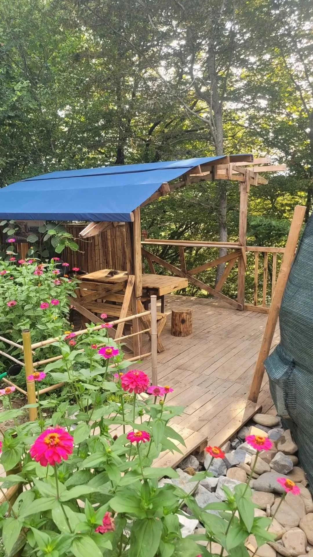 Avatar Сочи фото 4