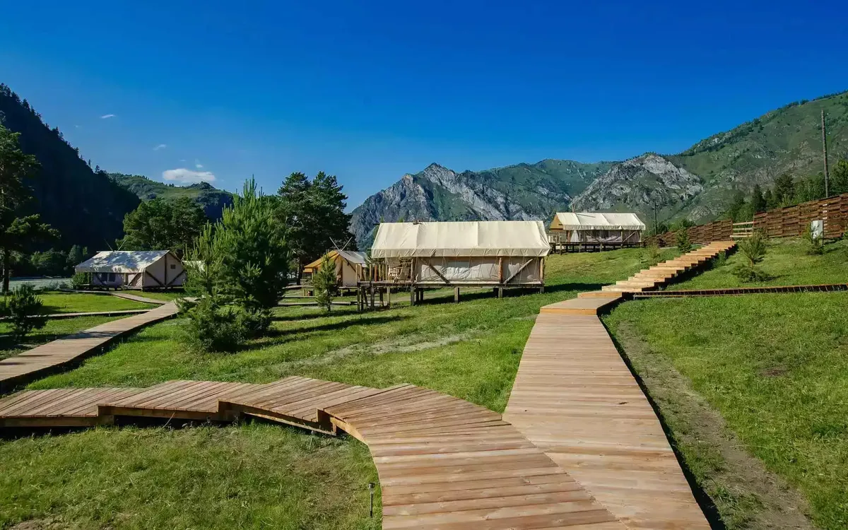 Айвенго Горный Алтай