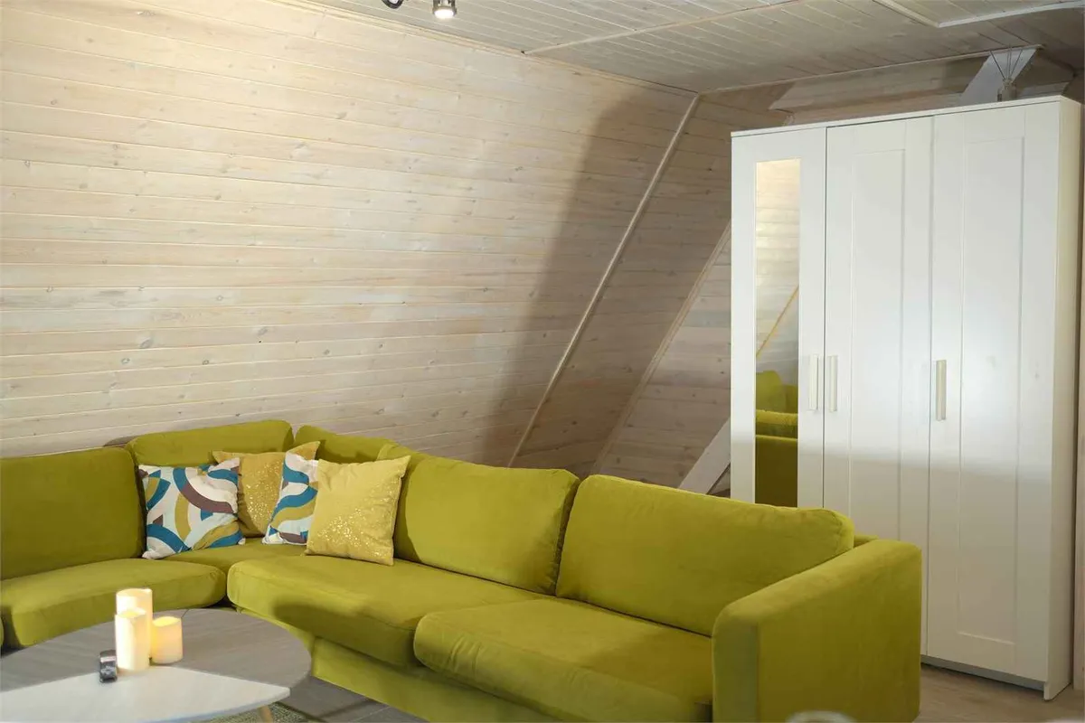 Бадан фото 4