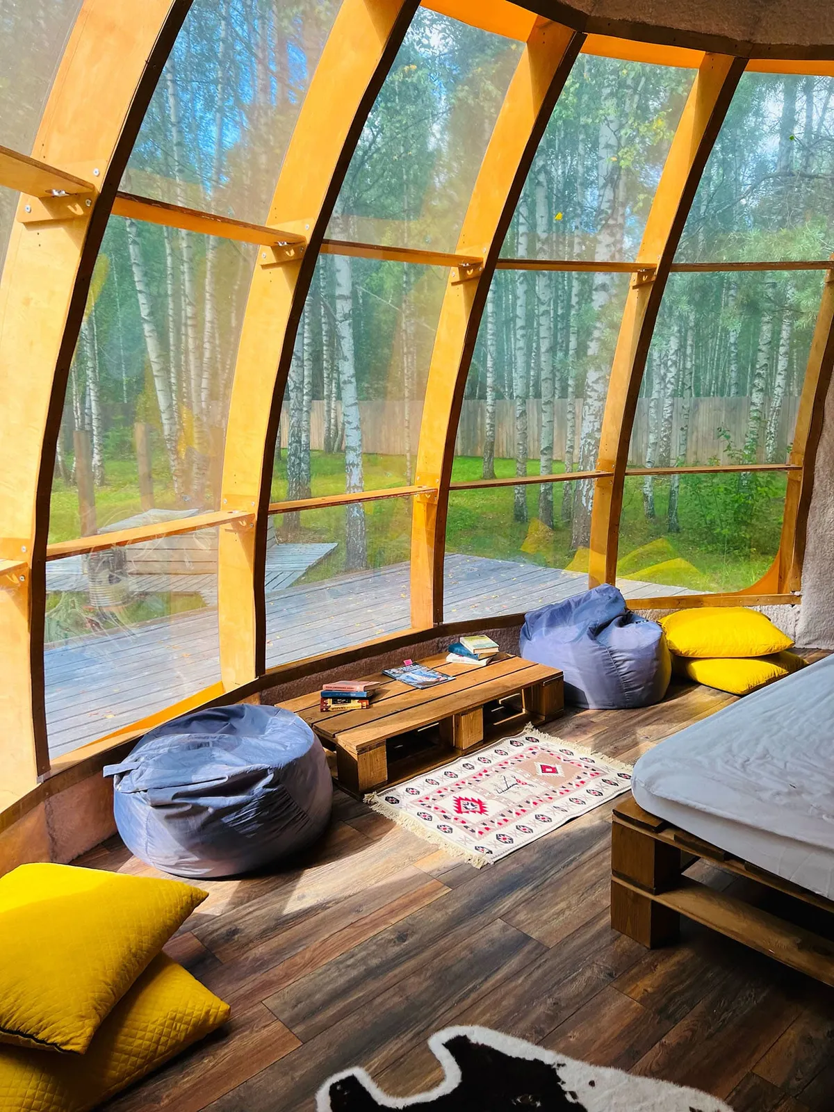 Можжевельник