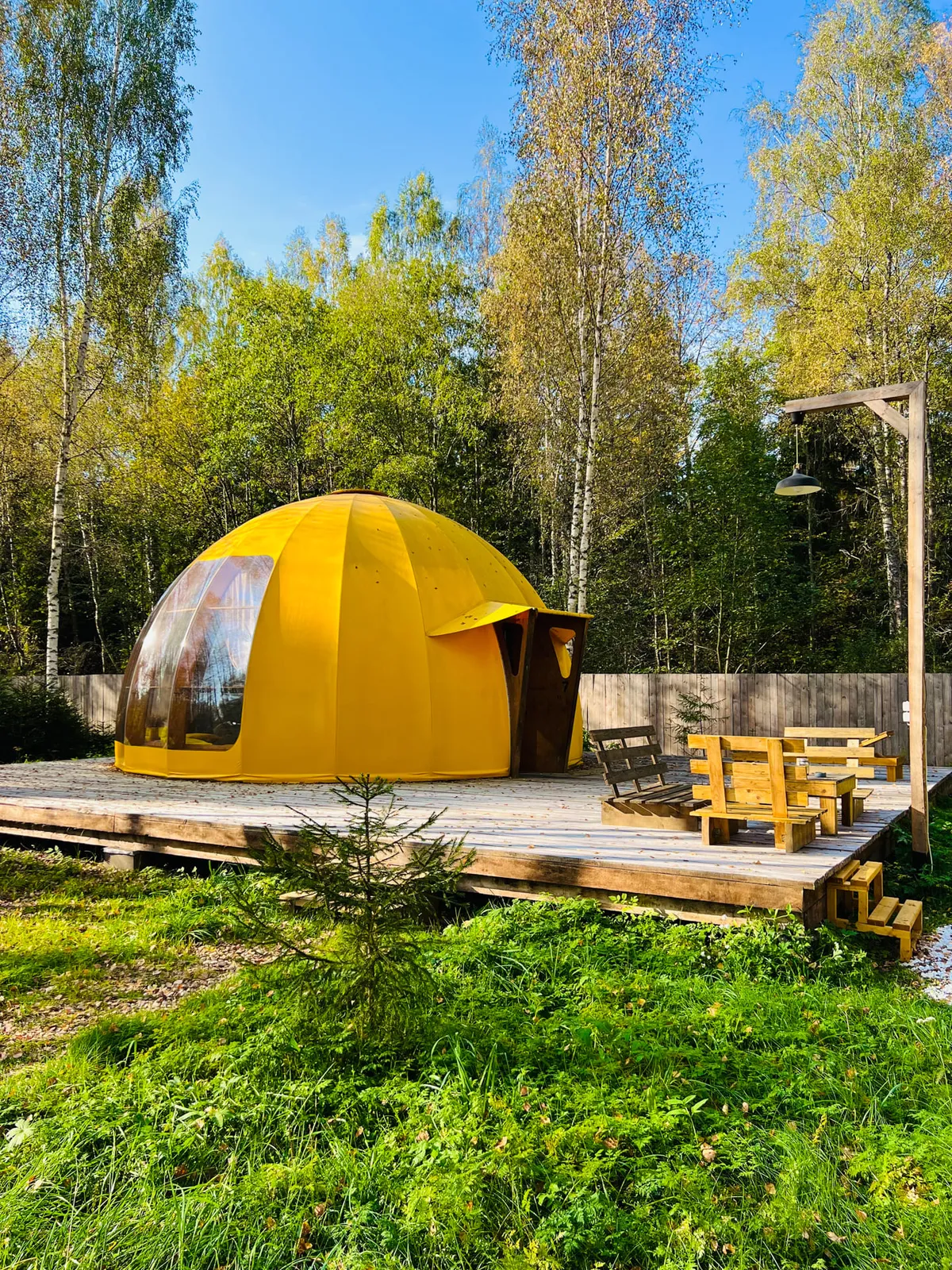 Цветочная поляна