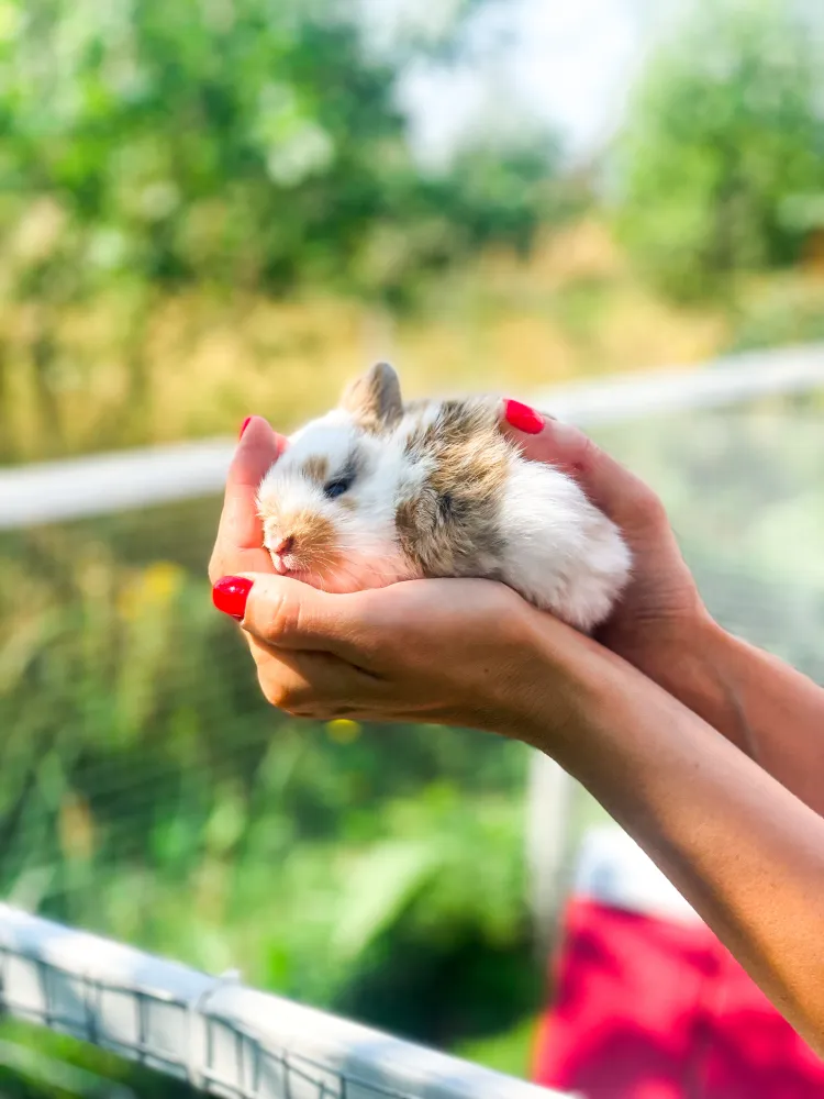 База отдыха А у реки фото 4