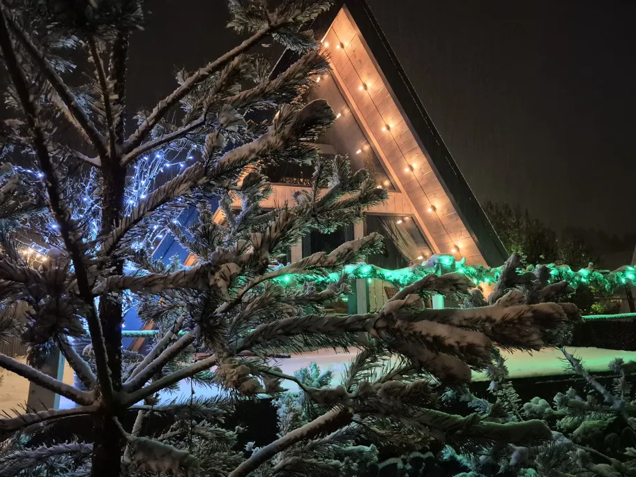 База отдыха А в лесу