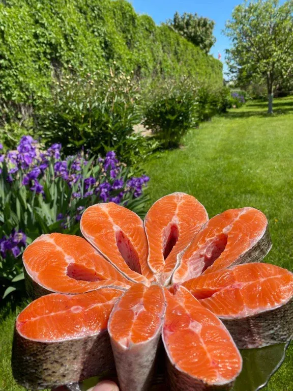 База отдыха База отдыха Ultralight-world фото 3