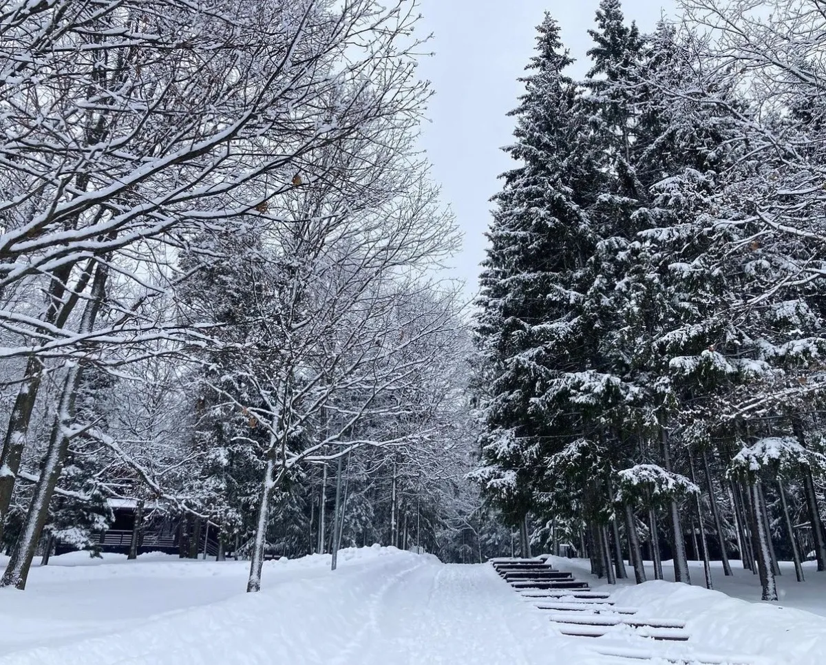 База отдыха Босиком фото 5