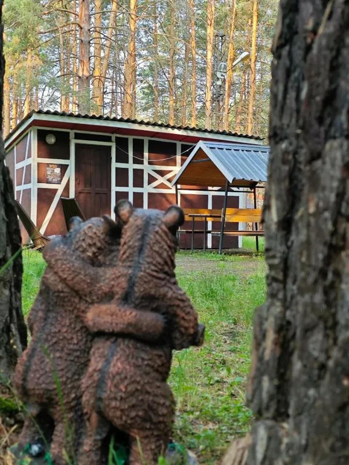База отдыха Домик в лесу фото 3