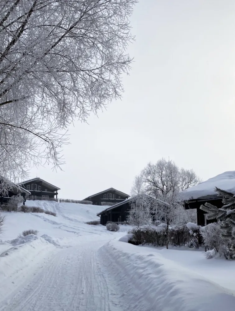 База отдыха Эко-клуб Голицыно фото 2