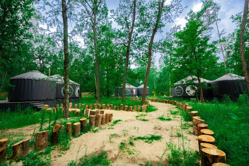 База отдыха Лесная база "Папоротник фото 3