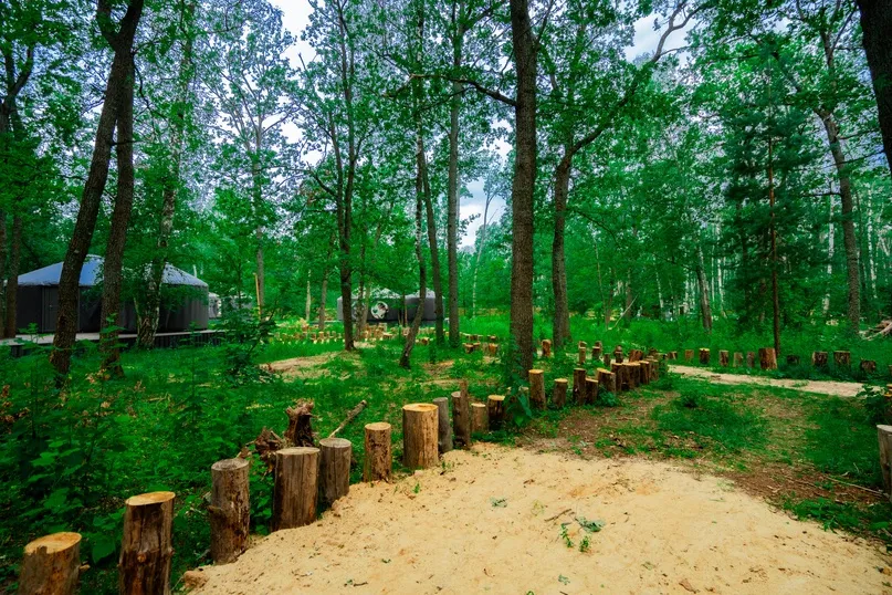 База отдыха Лесная база "Папоротник фото 4