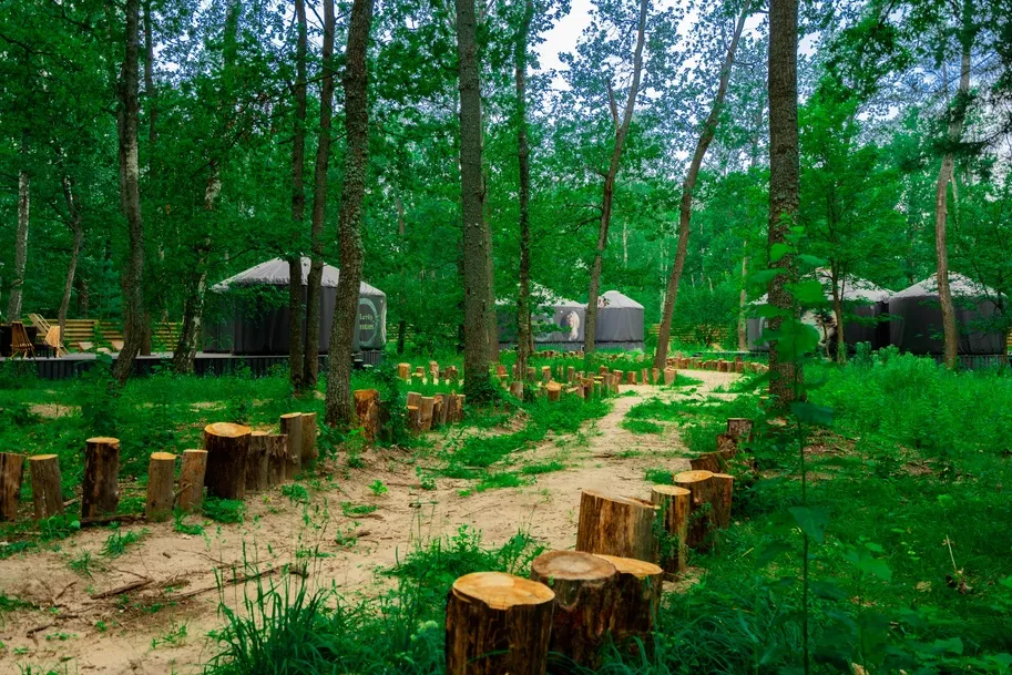 База отдыха Лесная база "Папоротник фото 5