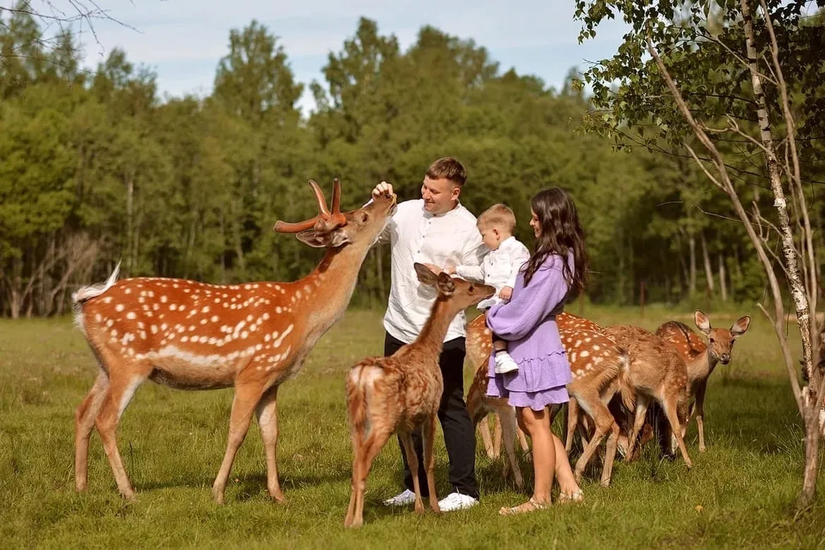 База отдыха Место 7 фото 3