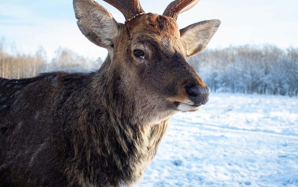 База отдыха Место 7 фото 5