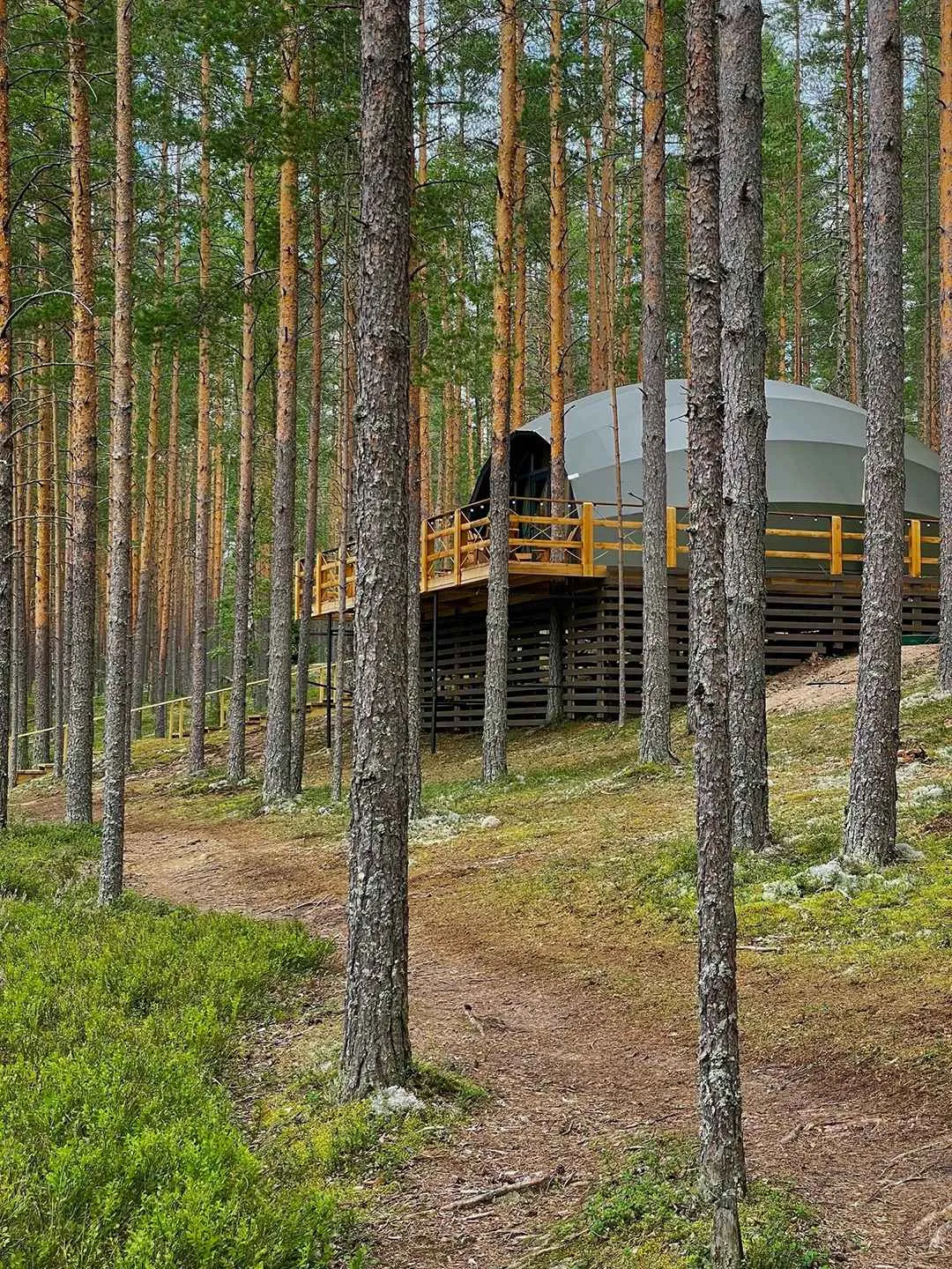 Лодж с купелью