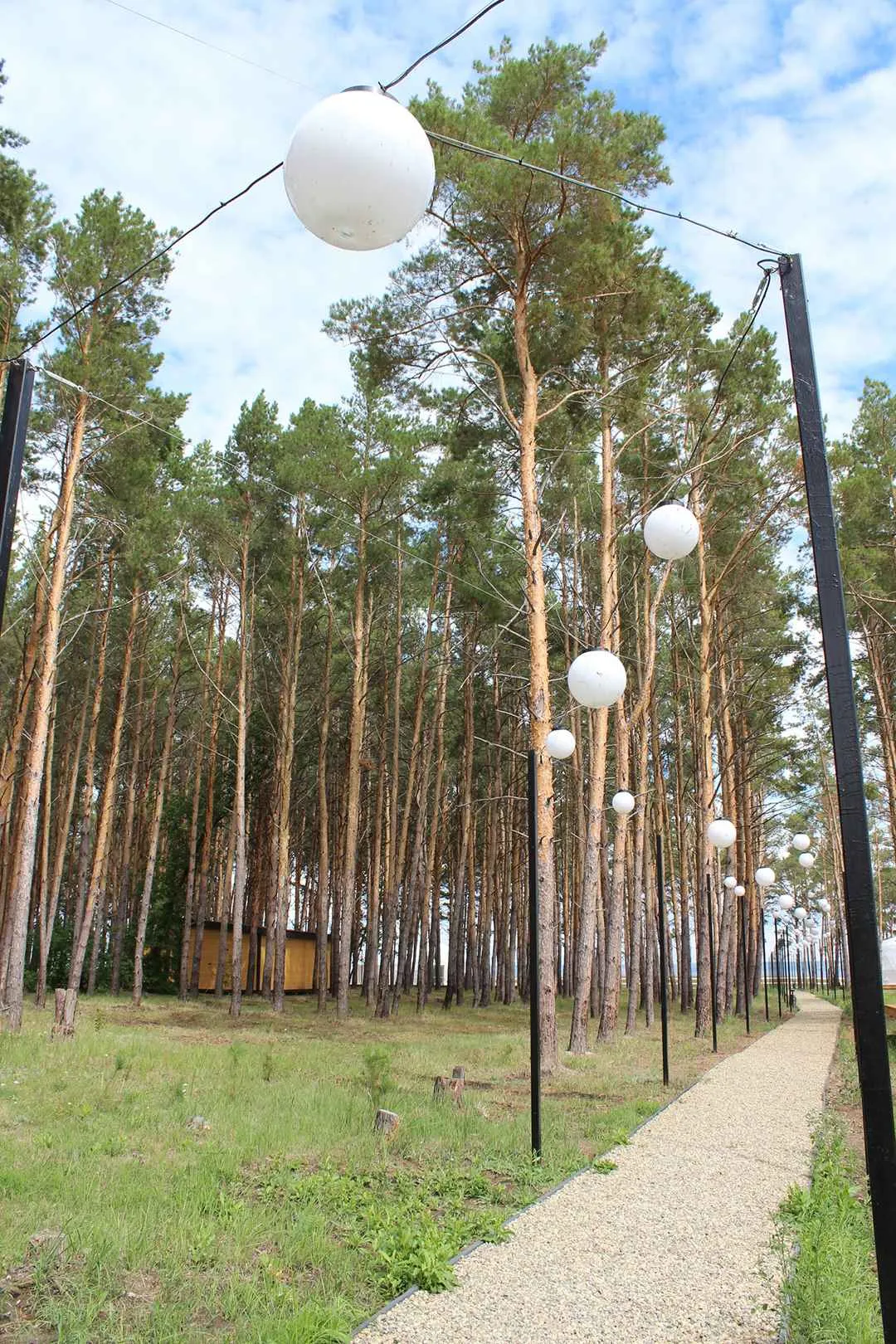 База отдыха Наше место фото 2