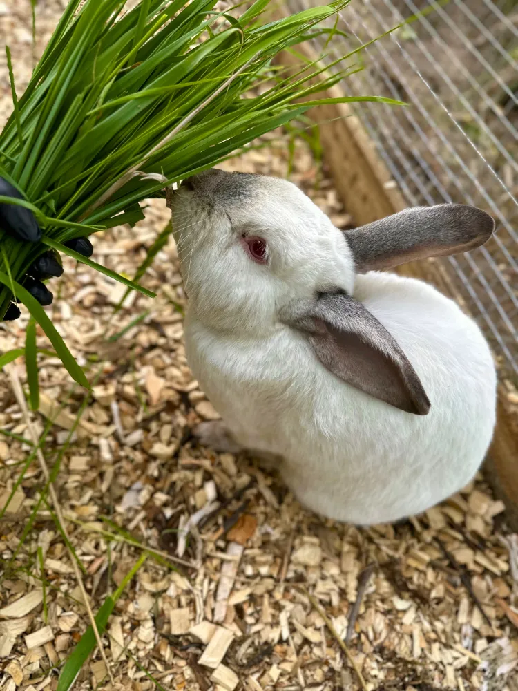 База отдыха Нота Бене фото 4