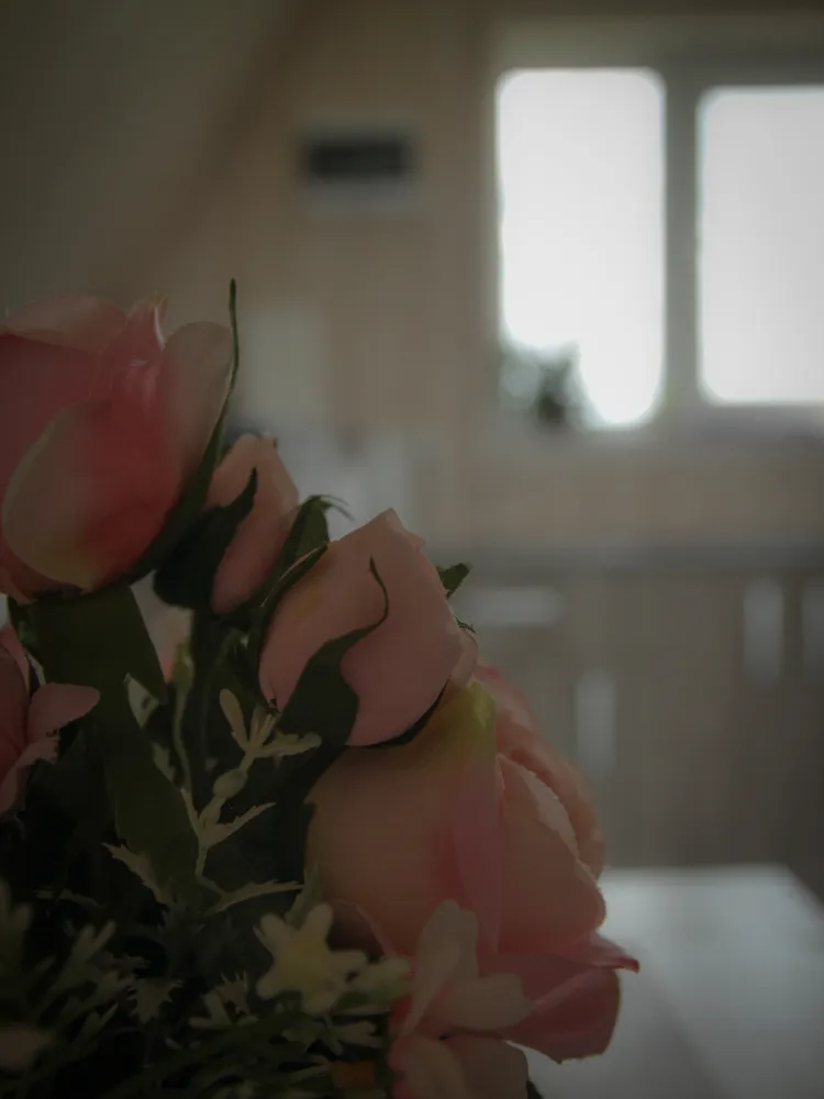 База отдыха RIVERLAND фото 3