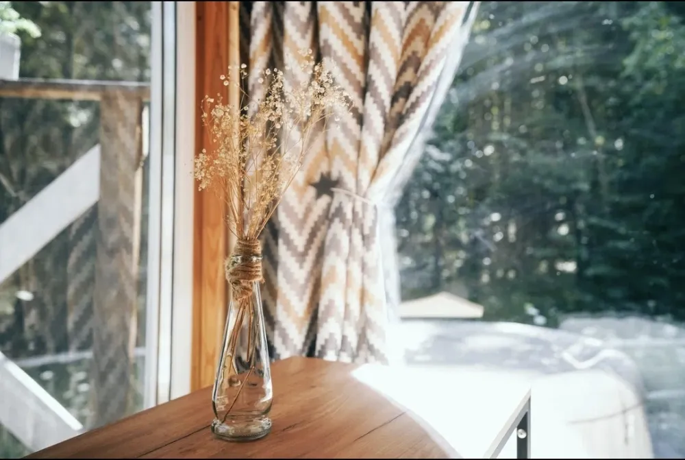 База отдыха Солнечный склон фото 3