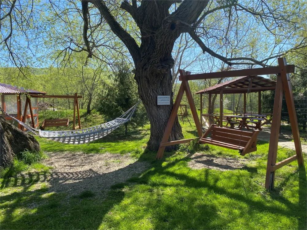 База отдыха Светлячок фото 5