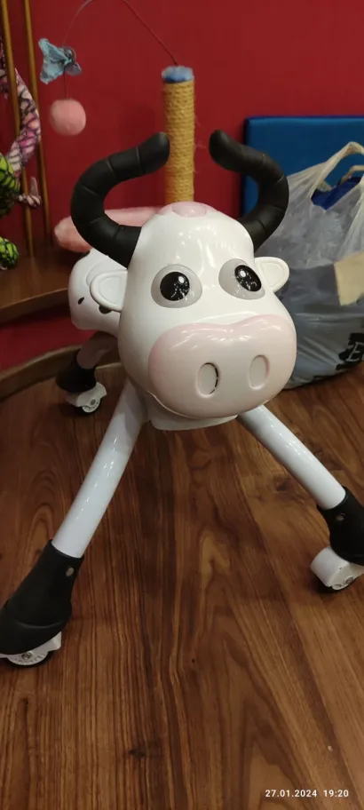 База отдыха Тест фото 4