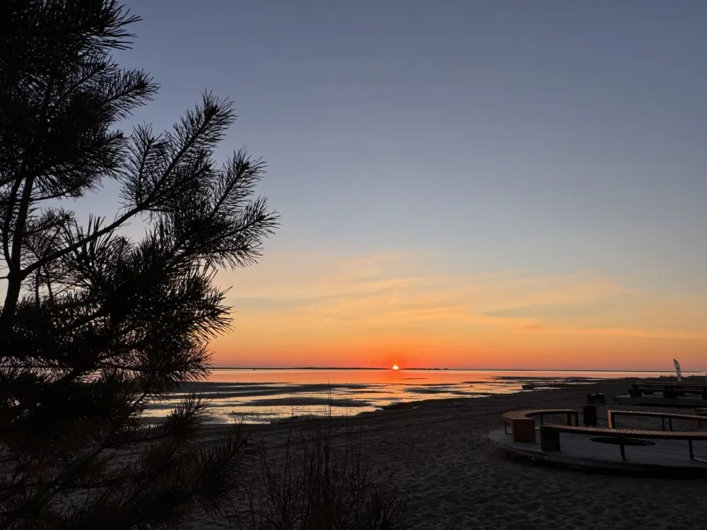 База отдыха Яндова Губа фото 5