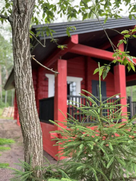 База отдыха Янтарный берег фото 4