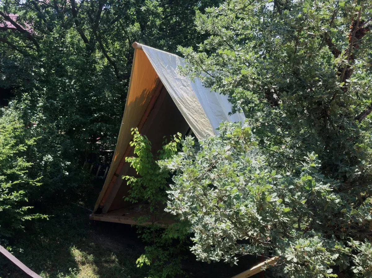 Бегом к нам фото 2