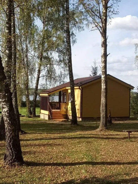 Белая цапля фото 2