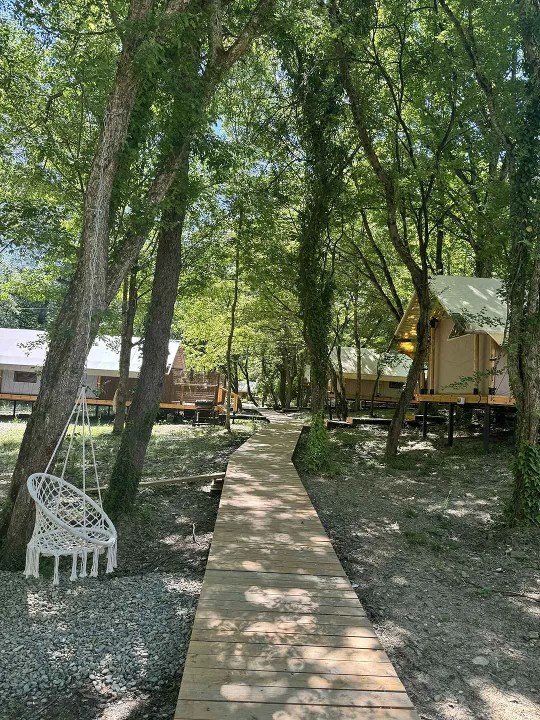 Белый кролик