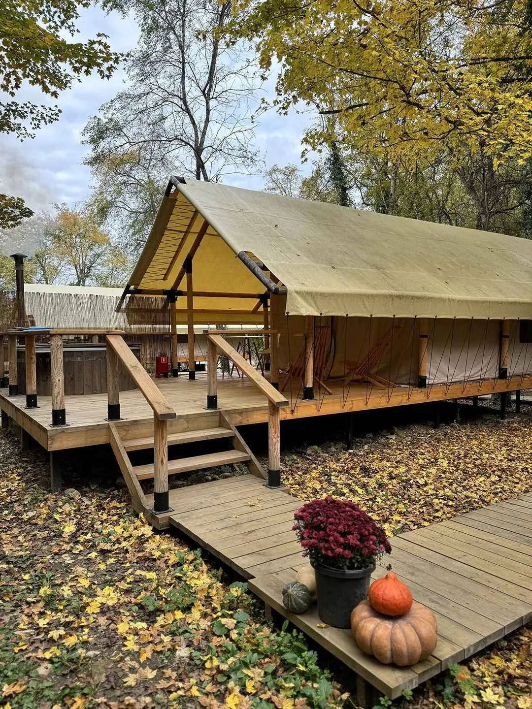 Сафари Люкс