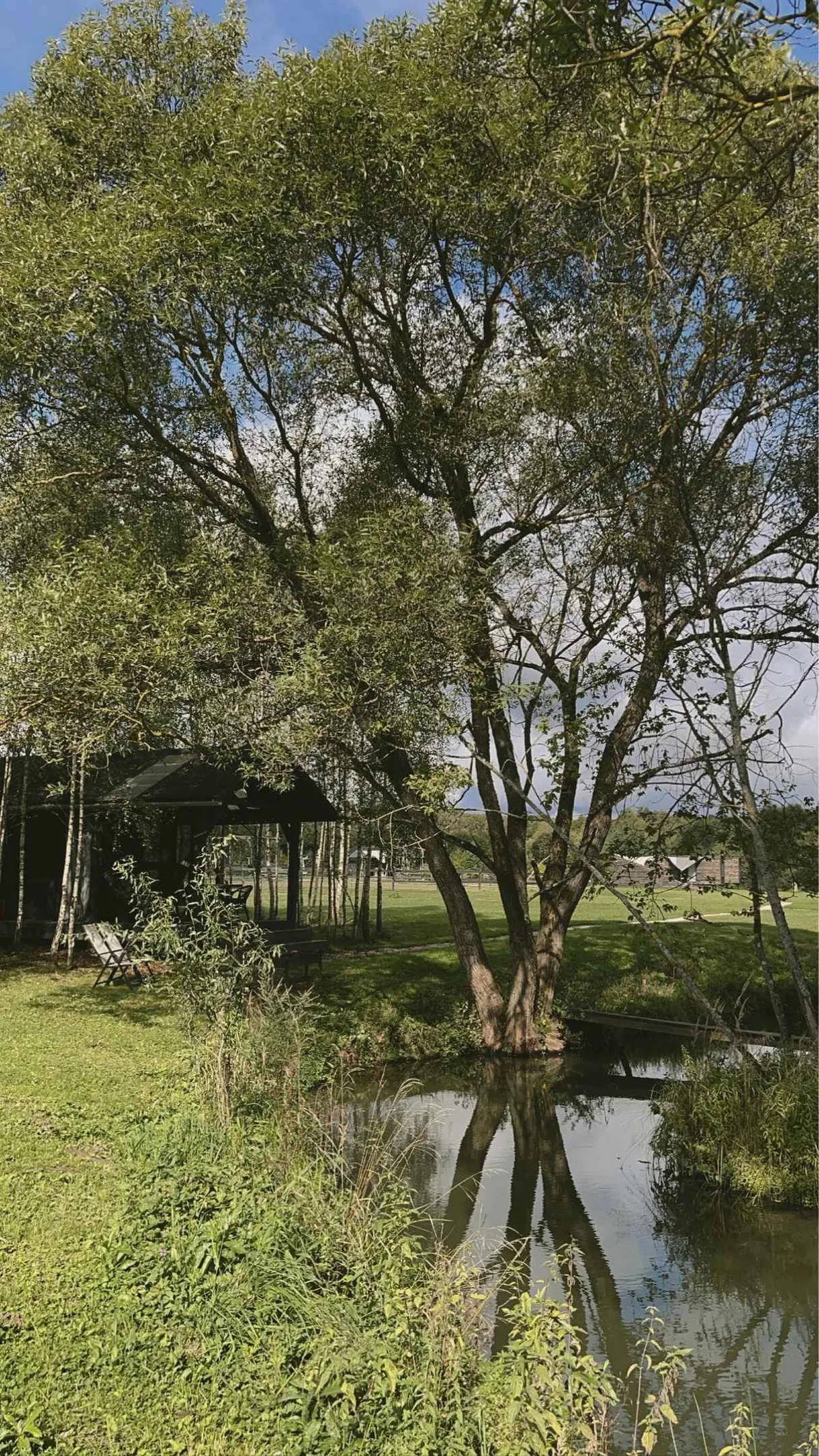 Домик у пруда