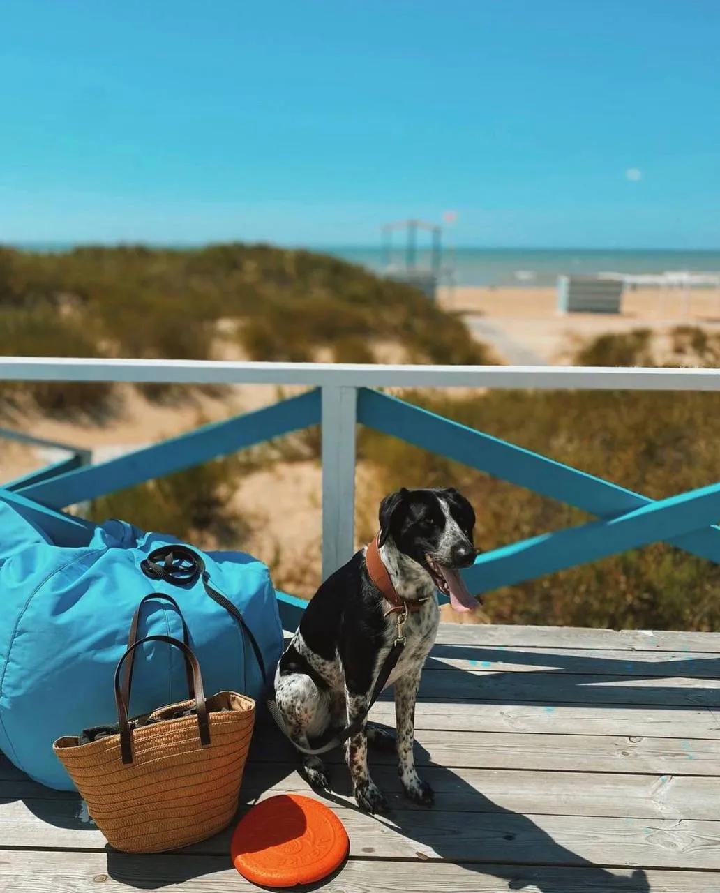 BetaGlamping (Бета Глэмпигн) фото 3